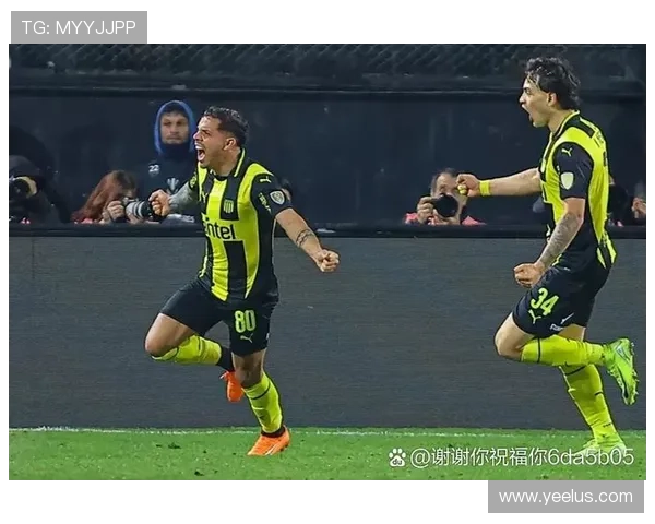 解放者杯VAR争议 解放者杯VAR争议