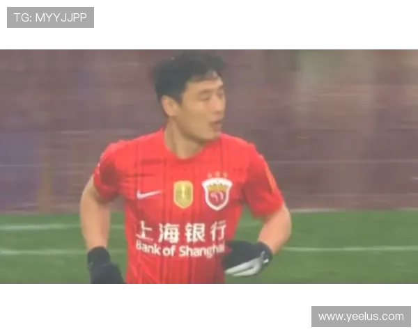 武磊在海港表现
