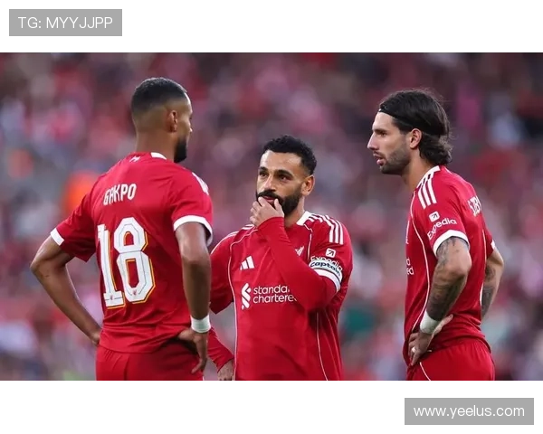 英超沃伦诺丁汉森林 英超沃伦诺丁汉森林